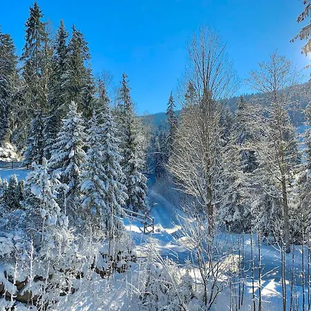 Haus Widmann 아파트 *