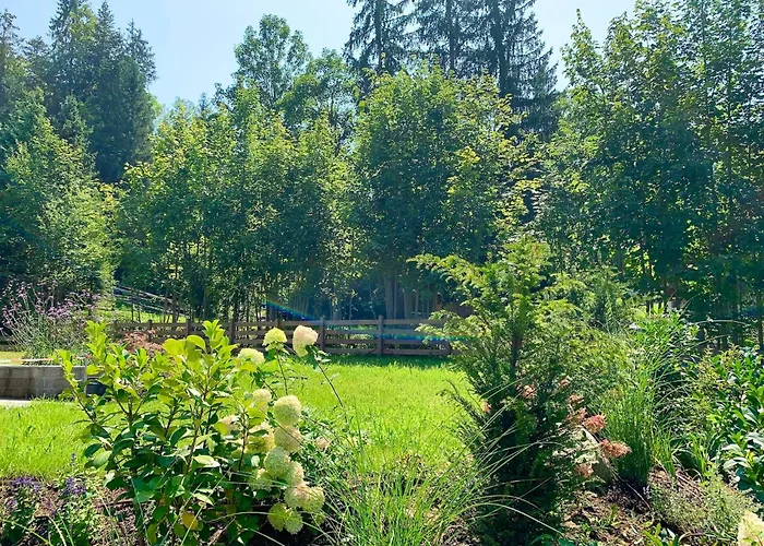 Haus Widmann Apartment Scheffau am Wilden Kaiser