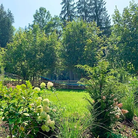 Haus Widmann Appartamento Scheffau am Wilden Kaiser